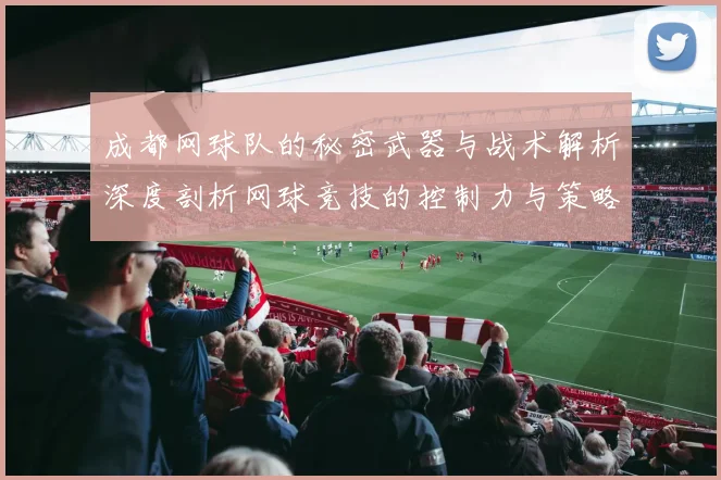 成都网球队的秘密武器与战术解析深度剖析网球竞技的控制力与策略